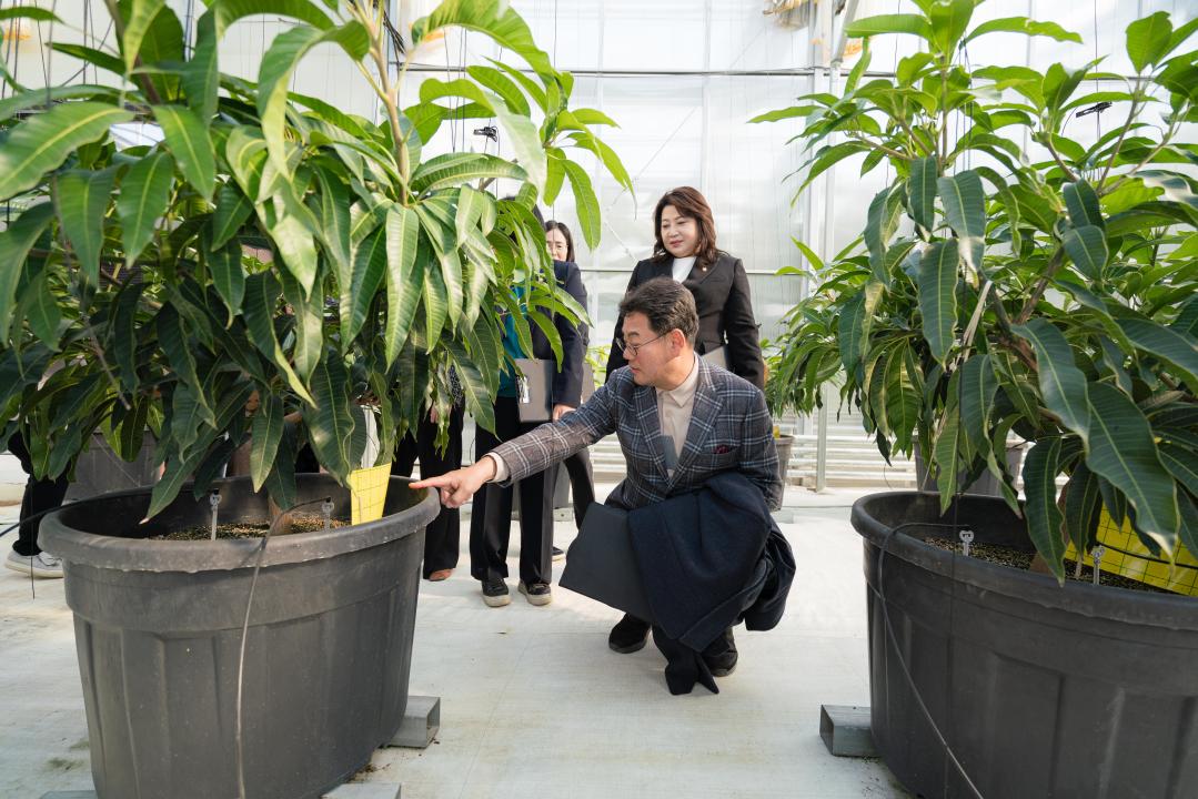 '행정사무감사 현지확인 (경제환경위원회)' 게시글의 사진(29) '20251119 행정사무감사 현지확인 (경제환경위원회) N-35.JPG'
