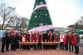 '2025 성탄 트리 점등 문화축제' 게시글의 사진(13) '20251130 2025 성탄 트리 점등 문화축제-02.jpg' 썸네일