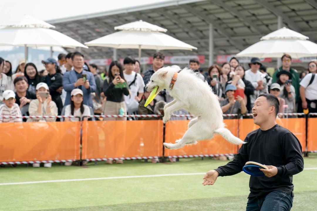 2024 반려동물 문화축제